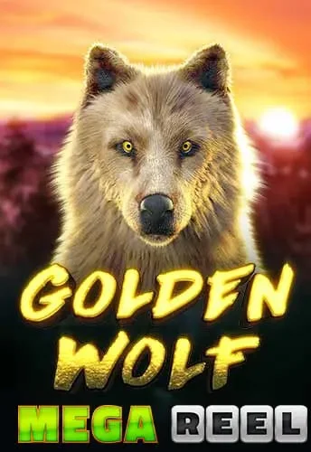 Golden-Wolf